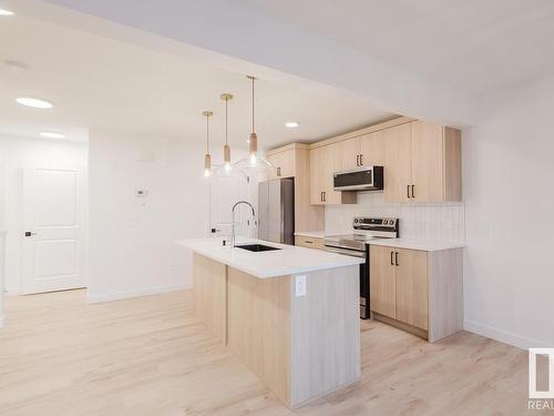 47 1010 Millbourne Road E, Edmonton, AB - Indoor Photo Showing Kitchen With Upgraded Kitchen