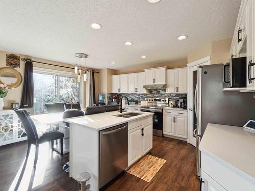 488 Hunters Green Green, Edmonton, AB - Indoor Photo Showing Kitchen With Double Sink