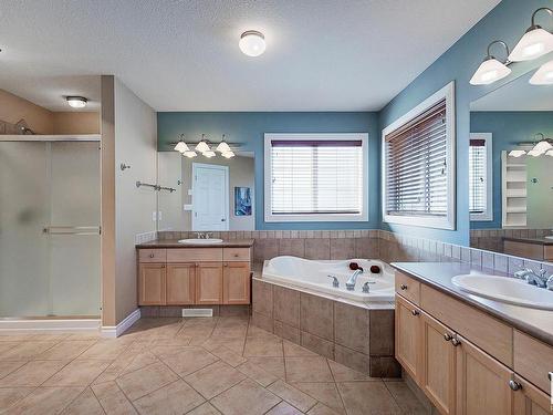 211 Darlington Crescent, Edmonton, AB - Indoor Photo Showing Bathroom