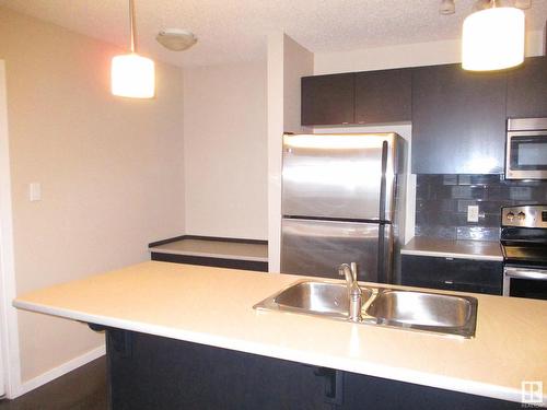 401 508 Albany Way Nw, Edmonton, AB - Indoor Photo Showing Kitchen With Double Sink