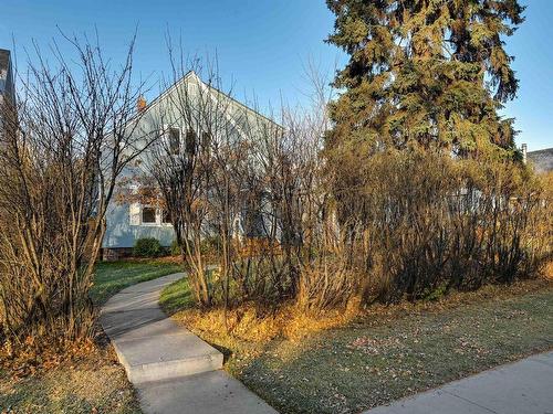 10526 127 Street, Edmonton, AB - Outdoor With View