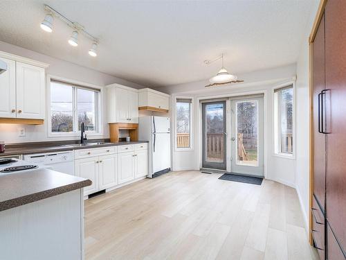 9519 155 Street, Edmonton, AB - Indoor Photo Showing Kitchen With Double Sink