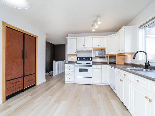 9519 155 Street, Edmonton, AB - Indoor Photo Showing Kitchen With Double Sink