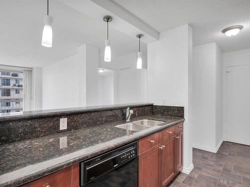 1204 9835 113 Street, Edmonton, AB - Indoor Photo Showing Kitchen With Double Sink