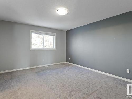 21152 46 Avenue, Edmonton, AB - Indoor Photo Showing Other Room