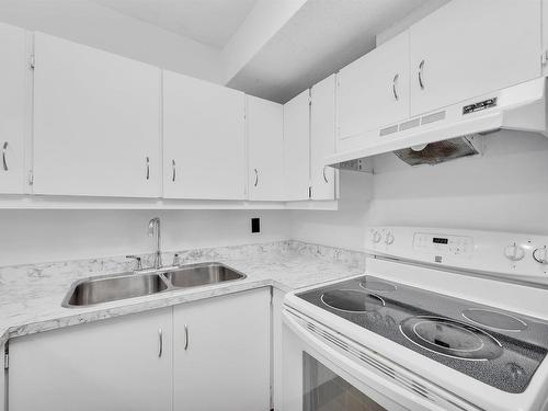 423 11618 100 Avenue, Edmonton, AB - Indoor Photo Showing Kitchen With Double Sink