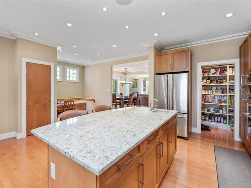 8728 101 Avenue, Edmonton, AB - Indoor Photo Showing Kitchen With Upgraded Kitchen