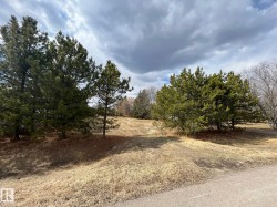 208 61314 Rge Rd 463 Rural Bonnyville M.D., AB T9N 0H3