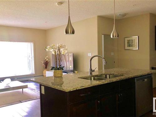 108 504 Griesbach Parade, Edmonton, AB - Indoor Photo Showing Kitchen With Double Sink