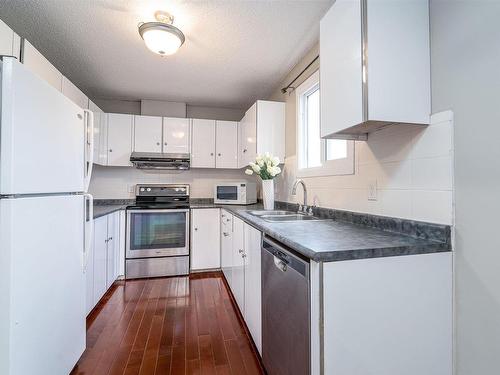 10522 21 Avenue, Edmonton, AB - Indoor Photo Showing Kitchen With Double Sink