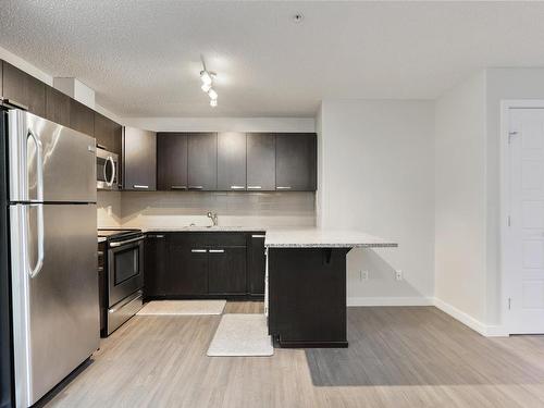 214 14808 125 Street, Edmonton, AB - Indoor Photo Showing Kitchen