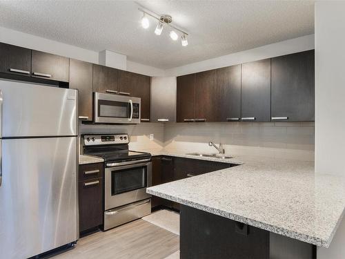 214 14808 125 Street, Edmonton, AB - Indoor Photo Showing Kitchen With Upgraded Kitchen