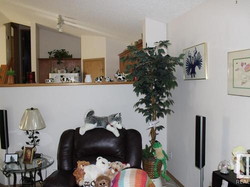 1672 Tompkins Place Nw, Edmonton, AB - Indoor