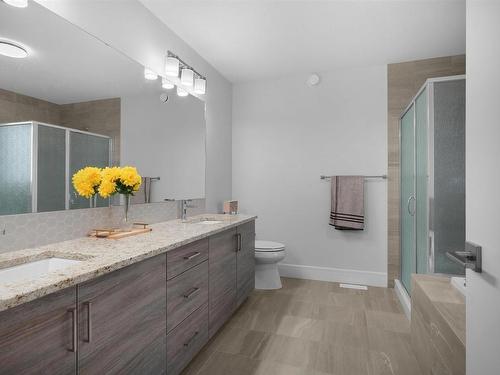 15852 29 Avenue, Edmonton, AB - Indoor Photo Showing Bathroom