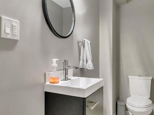 46 500 Lessard Drive Nw, Edmonton, AB - Indoor Photo Showing Bathroom