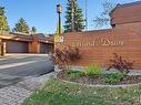 46 500 Lessard Drive Nw, Edmonton, AB  - Outdoor 