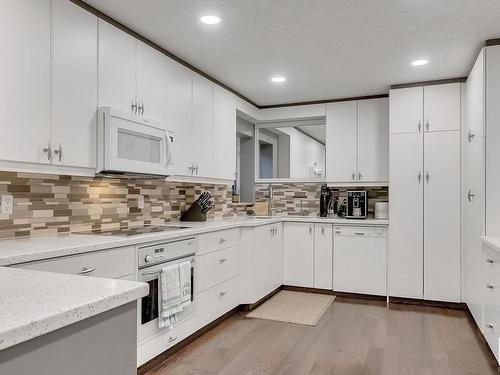 46 500 Lessard Drive Nw, Edmonton, AB - Indoor Photo Showing Kitchen