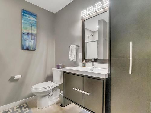 46 500 Lessard Drive Nw, Edmonton, AB - Indoor Photo Showing Bathroom