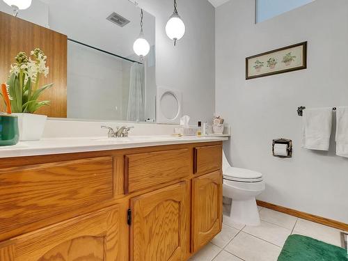 2A Westbrook Drive, Edmonton, AB - Indoor Photo Showing Bathroom