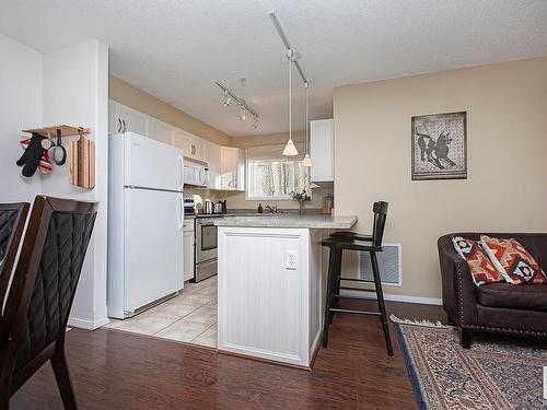 301 10528 77 Avenue, Edmonton, AB - Indoor Photo Showing Kitchen