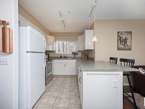 301 10528 77 Avenue, Edmonton, AB - Indoor Photo Showing Kitchen With Double Sink