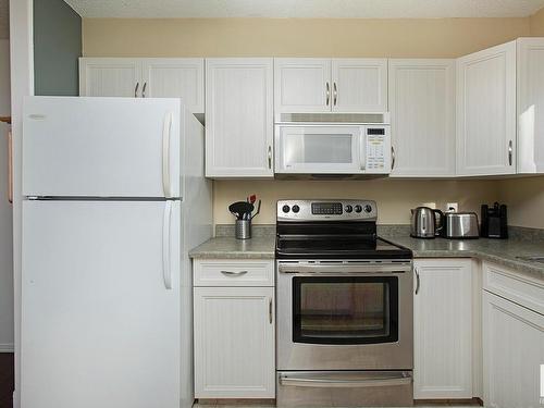 301 10528 77 Avenue, Edmonton, AB - Indoor Photo Showing Kitchen