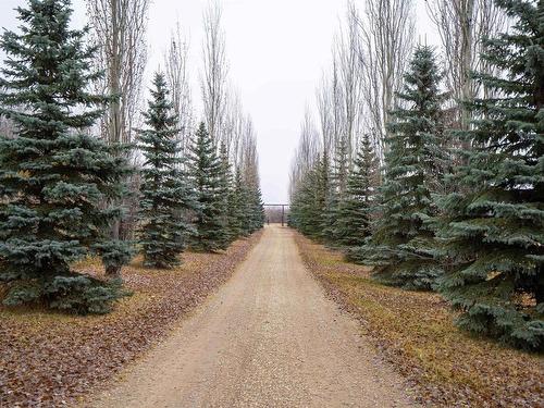 54010 Rge Road 41, Rural Lac Ste. Anne County, AB - Outdoor With View