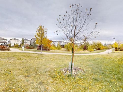 3803 Agar Green Gr Sw, Edmonton, AB 