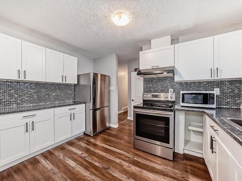 10415 Lauder Avenue, Edmonton, AB - Indoor Photo Showing Kitchen With Upgraded Kitchen