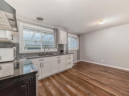 10415 Lauder Avenue, Edmonton, AB - Indoor Photo Showing Kitchen With Double Sink