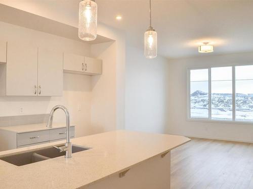 18923 29 Avenue, Edmonton, AB - Indoor Photo Showing Kitchen With Double Sink With Upgraded Kitchen