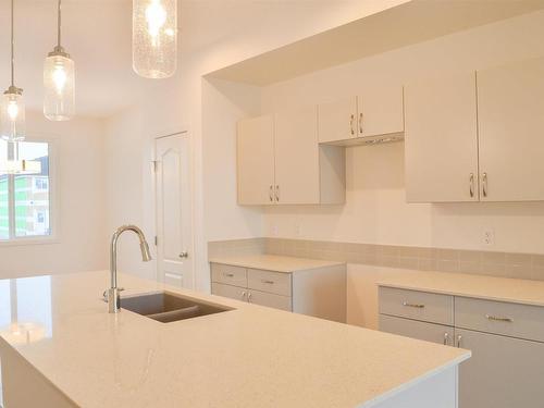 18923 29 Avenue, Edmonton, AB - Indoor Photo Showing Kitchen With Double Sink