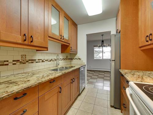 308 14825 51 Avenue, Edmonton, AB - Indoor Photo Showing Kitchen With Double Sink