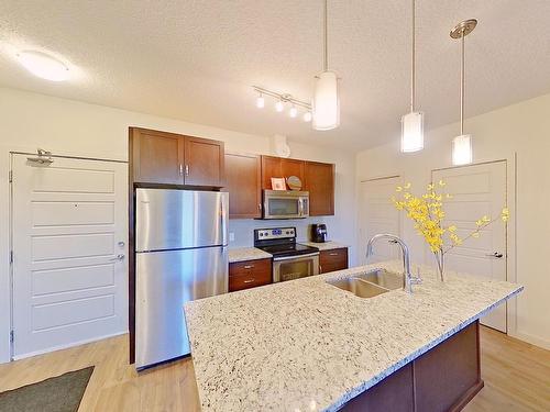 318 1004 Rosenthal Blvd Nw, Edmonton, AB - Indoor Photo Showing Kitchen With Stainless Steel Kitchen With Double Sink With Upgraded Kitchen