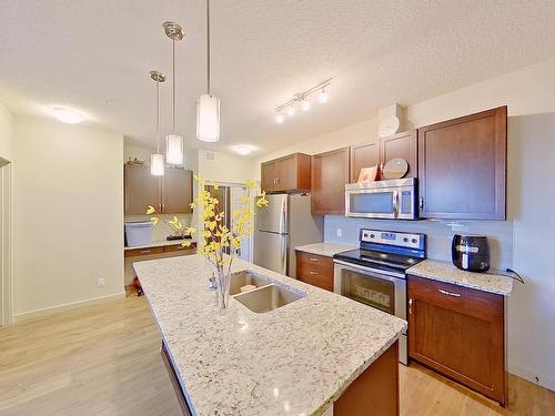 318 1004 Rosenthal Blvd Nw, Edmonton, AB - Indoor Photo Showing Kitchen With Stainless Steel Kitchen With Double Sink