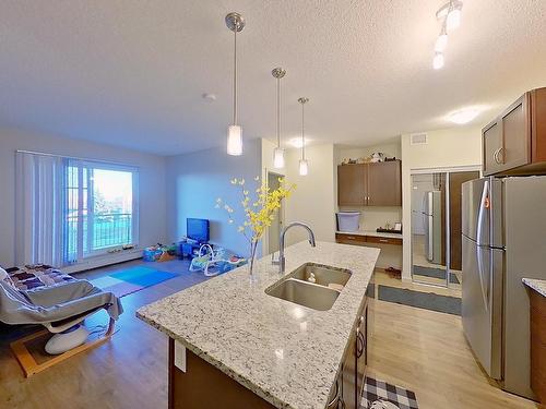 318 1004 Rosenthal Blvd Nw, Edmonton, AB - Indoor Photo Showing Kitchen With Stainless Steel Kitchen With Double Sink With Upgraded Kitchen