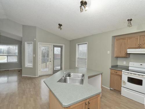 12707 136 Street, Edmonton, AB - Indoor Photo Showing Kitchen With Double Sink