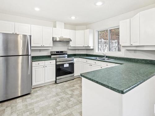 23 9630 176 Street, Edmonton, AB - Indoor Photo Showing Kitchen With Double Sink