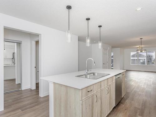 9530 Carson Bend, Edmonton, AB - Indoor Photo Showing Kitchen With Double Sink With Upgraded Kitchen