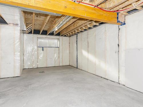 9530 Carson Bend, Edmonton, AB - Indoor Photo Showing Basement