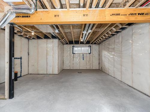 9554 Carson Bend, Edmonton, AB - Indoor Photo Showing Basement