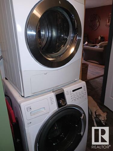 114 9010 106 Avenue, Edmonton, AB - Indoor Photo Showing Laundry Room