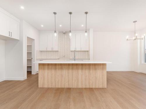 22128 94 Avenue, Edmonton, AB - Indoor Photo Showing Kitchen