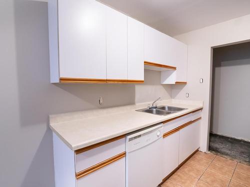 103 11831 106 Street, Edmonton, AB - Indoor Photo Showing Kitchen With Double Sink