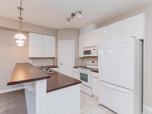 301 9750 94 Street, Edmonton, AB - Indoor Photo Showing Kitchen With Double Sink