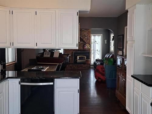 9624 75A Street, Edmonton, AB - Indoor Photo Showing Kitchen With Fireplace