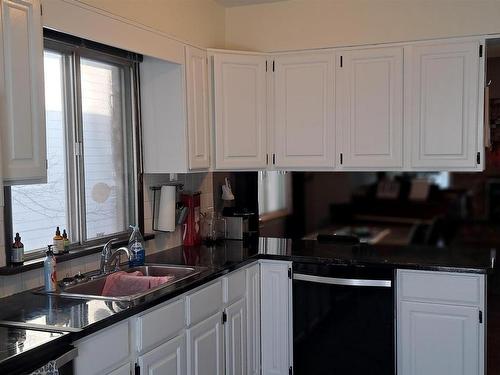 9624 75A Street, Edmonton, AB - Indoor Photo Showing Kitchen With Double Sink