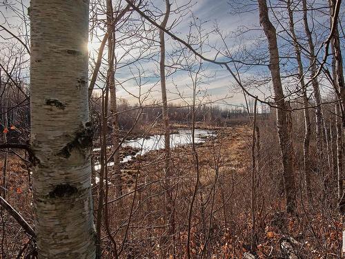 80-52210 Rge Rd 192, Rural Beaver County, AB -  With View