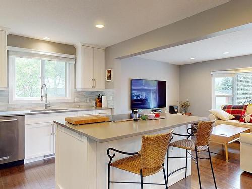 8611 Buena Vista Road, Edmonton, AB - Indoor Photo Showing Kitchen