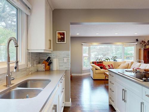 8611 Buena Vista Road, Edmonton, AB - Indoor Photo Showing Kitchen With Double Sink